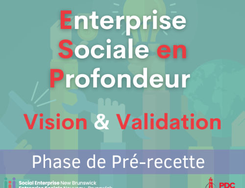 L’Entreprise sociale en profondeur : Vision et validation